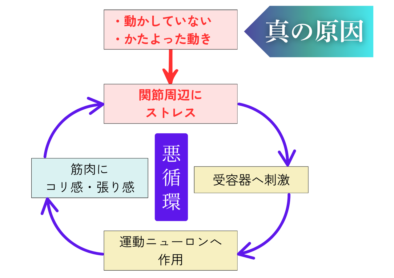 関節と筋肉と神経の悪循環のイメージ