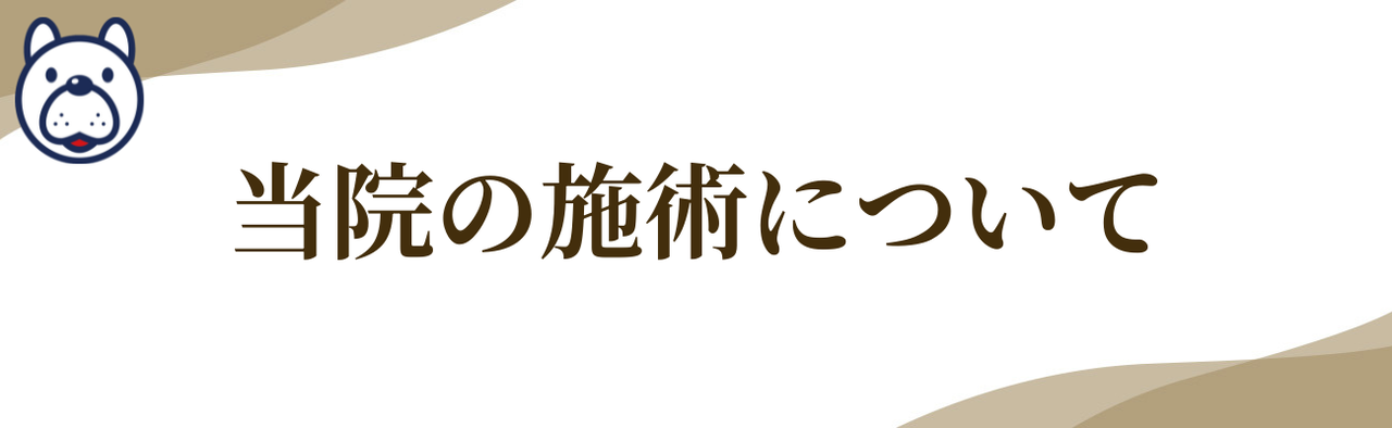 はしもとバランス整骨院の施術について