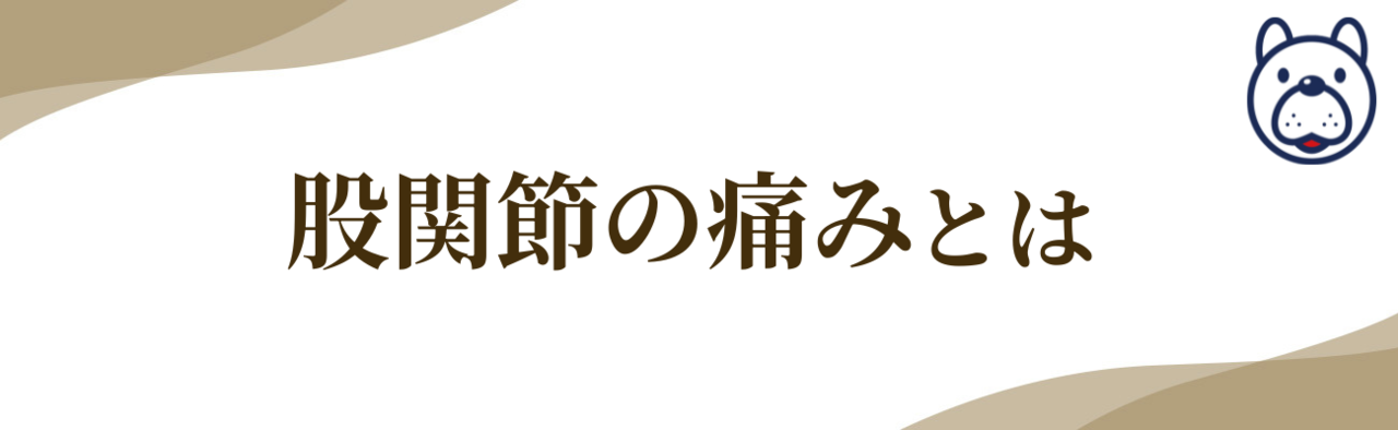 股関節の痛みとは　説明