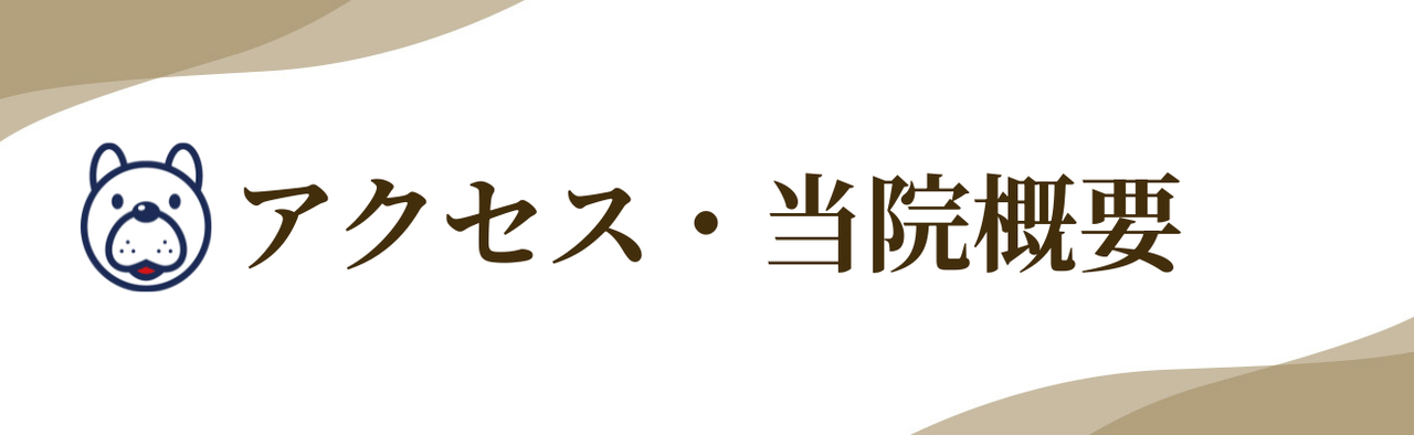 はしもとバランス整骨院のアクセス方法と当院の概要のイメージ