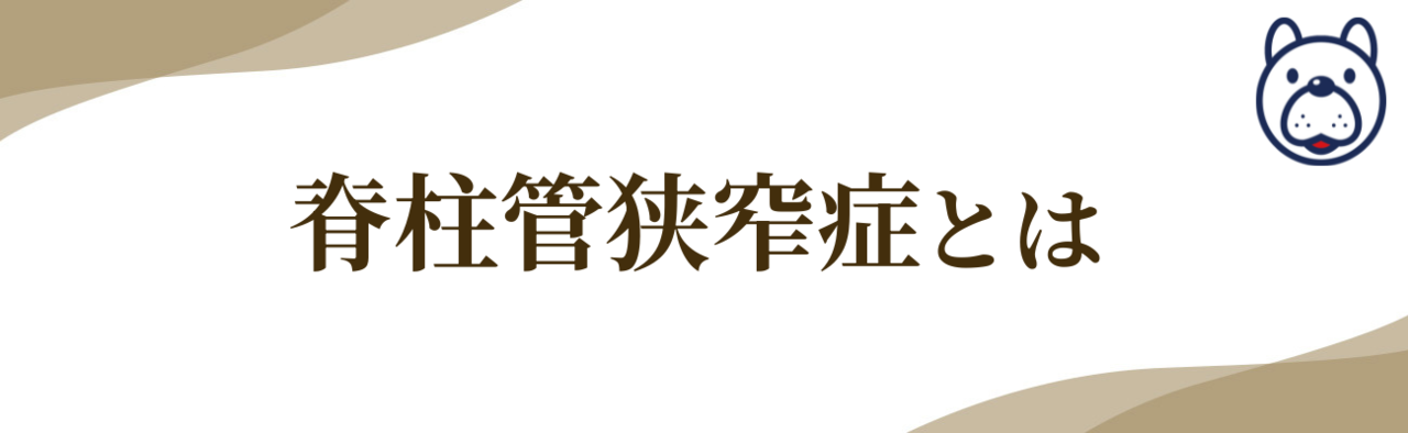 『腰痛・椎間板ヘルニアとは』の文字とマスコットのイラスト。脊柱管狭窄症の原因や症状について説明する見出し画像