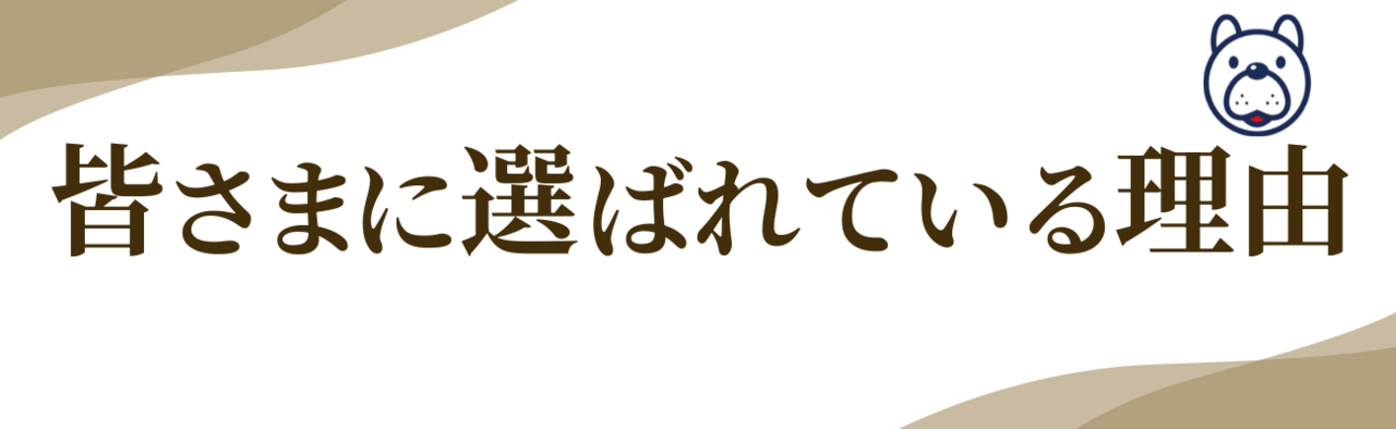 『皆さまに選ばれている理由』の文字とマスコットのイラスト。腰痛や椎間板ヘルニアの改善で信頼される理由を紹介する見出し画像